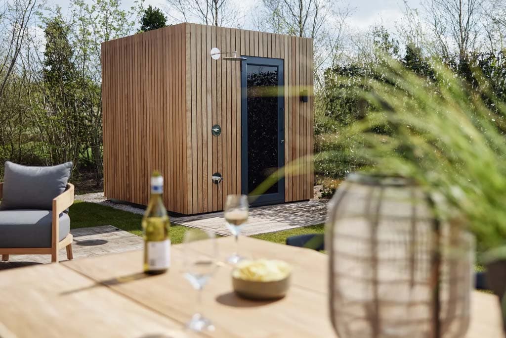 Landal Resort Brinckerduyn Zwembad Villa in Friesland - foto 4